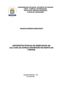 Imagem de Miniatura